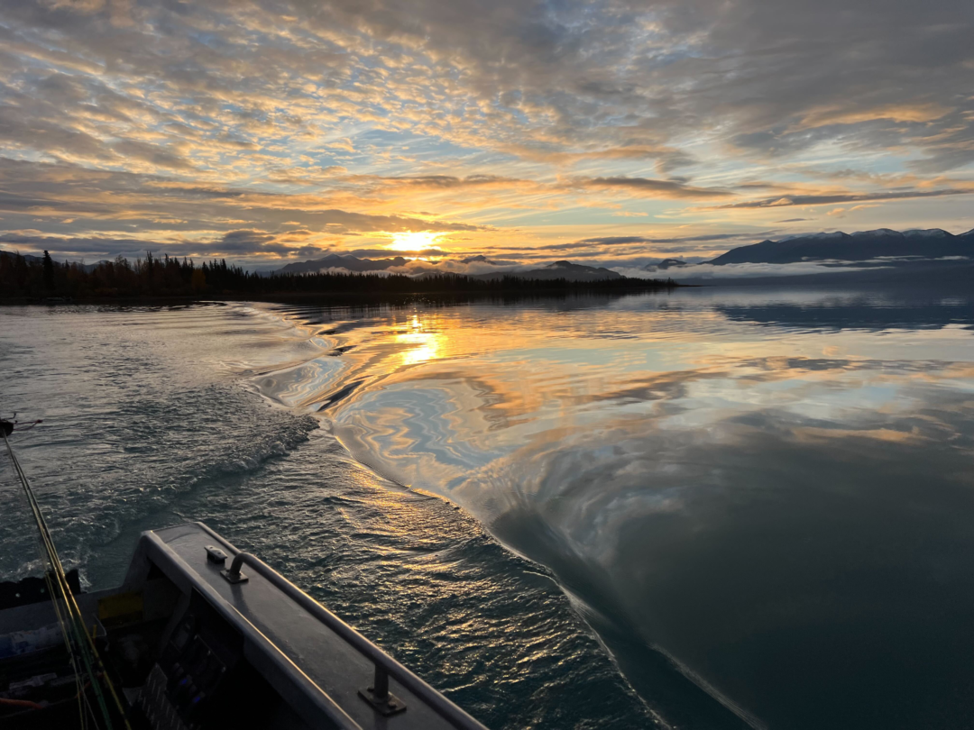 Fly Fishing for Arctic Char in Alaska