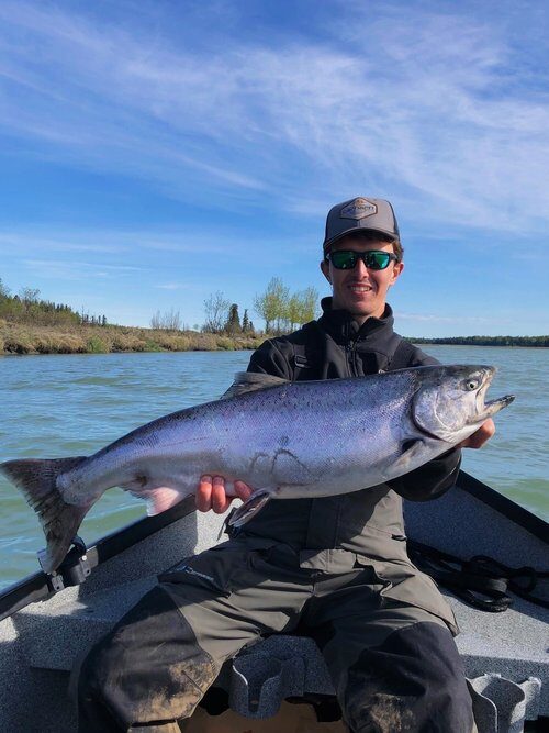 silver salmon