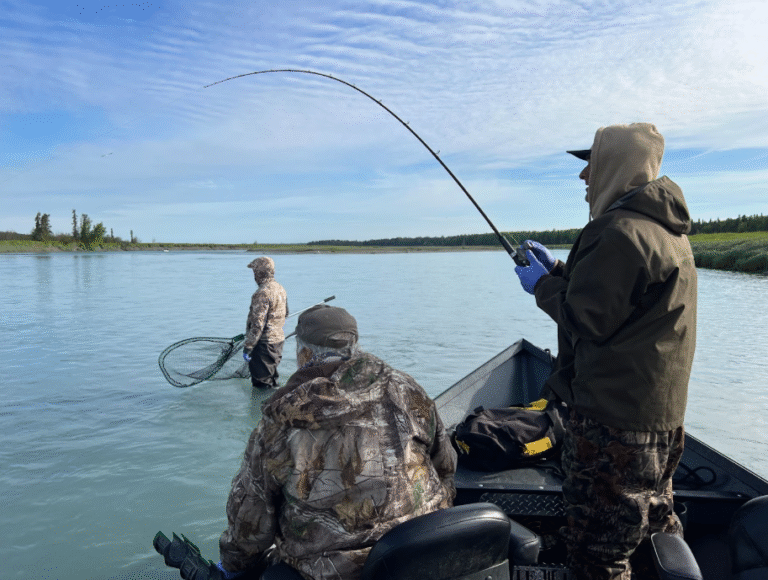 Upper vs. Lower Kenai River Which Section Is Right for You