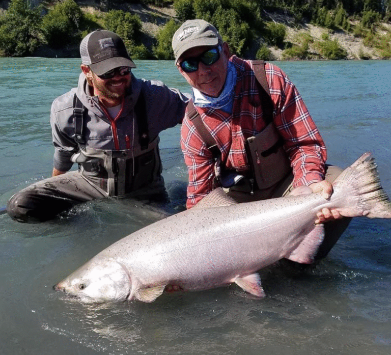 What Makes Kenai River Salmon So Big