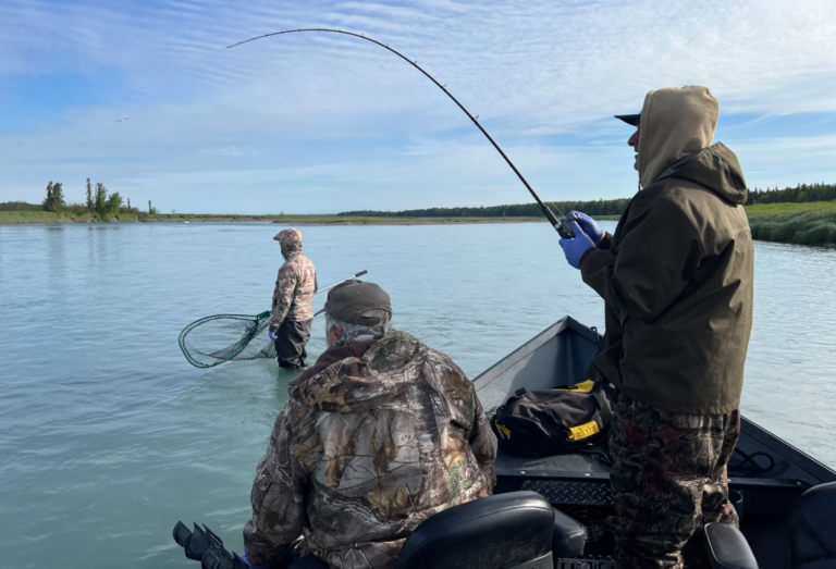 Why the Kenai River Produces World-Class Fishing